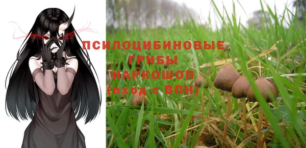 крисы Абаза