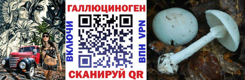 Галлюциногенные грибы Psilocybe Кемерово